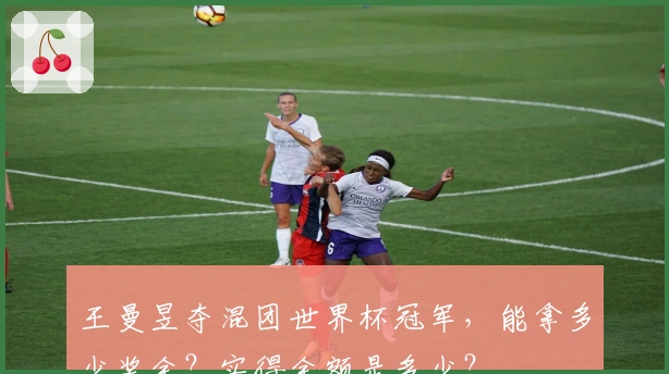 王曼昱夺混团世界杯冠军，能拿多少奖金？实得金额是多少？