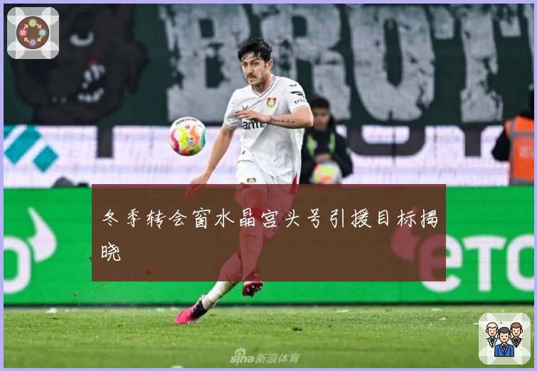 冬季转会窗水晶宫头号引援目标揭晓