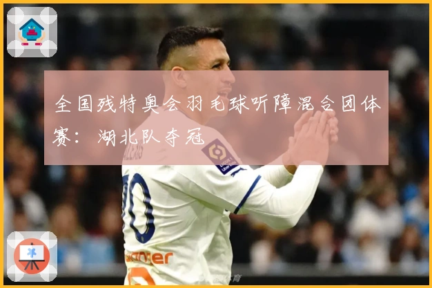 全国残特奥会羽毛球听障混合团体赛：湖北队夺冠