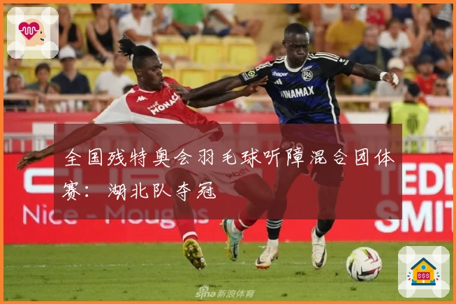 全国残特奥会羽毛球听障混合团体赛：湖北队夺冠